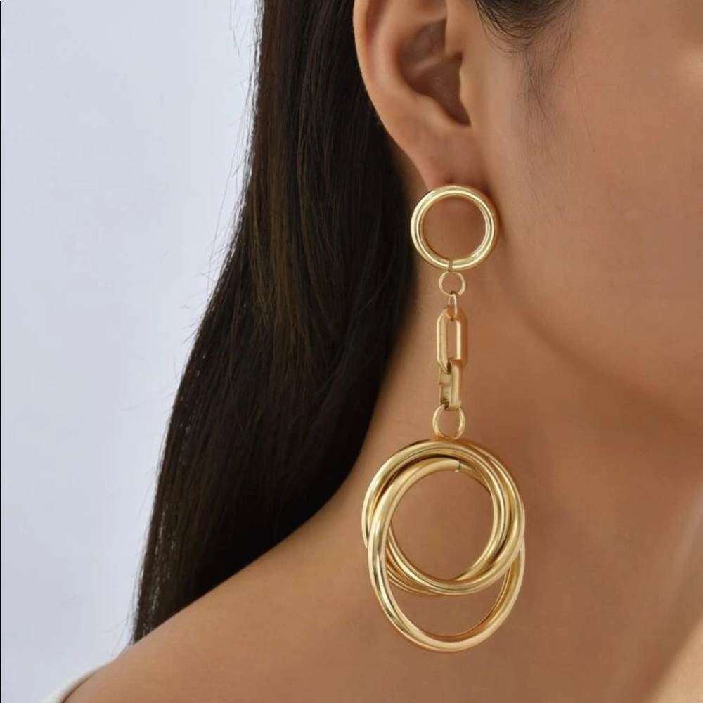 NWOT Ring Drop Earrings